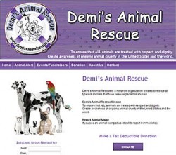Demi's Animal Rescue